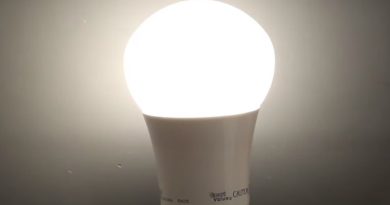 Gas in Electric Bulb